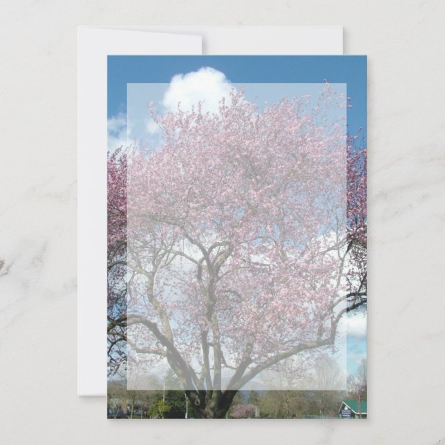 Blindeinladung, Kirschblühen Einladung (Vorderseite)