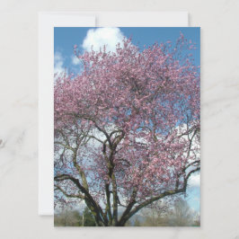 Blindeinladung, Kirschblühen Einladung