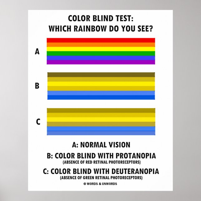 Blinder Farbtest Welche Regenbogen sehen Sie? Poster (Vorne)