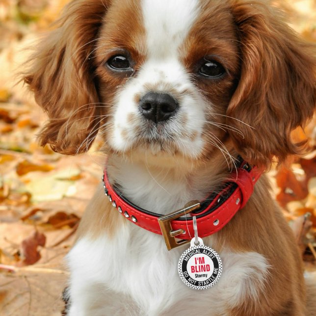 Blinder Individuelle Name für medizinische Warnhin Haustiermarke (Von Creator hochgeladen)