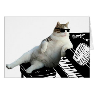 Blinder Katzenpianist