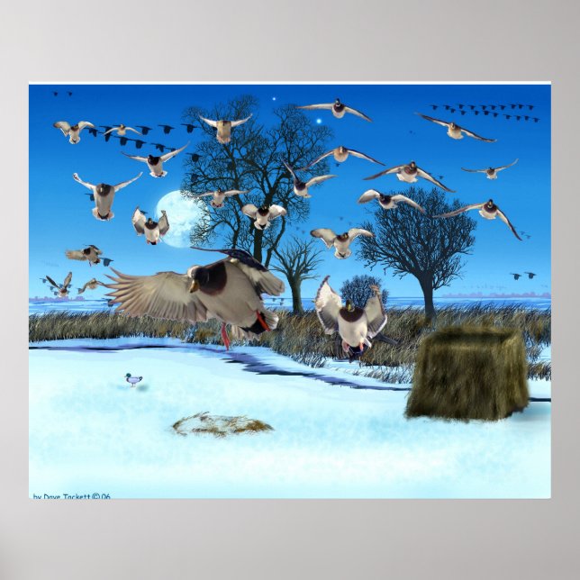 Blindes Duck Poster (Vorne)