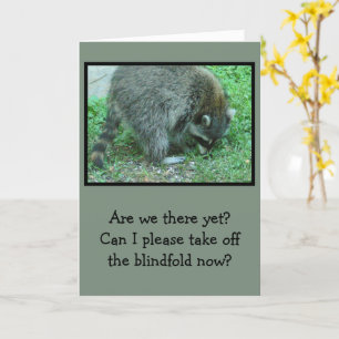 "BLINDFOLDED" RACCOON/HUMOROUS BIRTHDAY WISHES KARTE