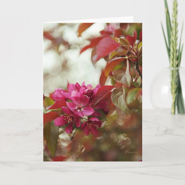 Blindgrüßkarte im April Karte (Vorderseite)