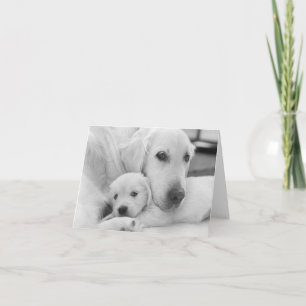 Blindkarte Dankeskarte