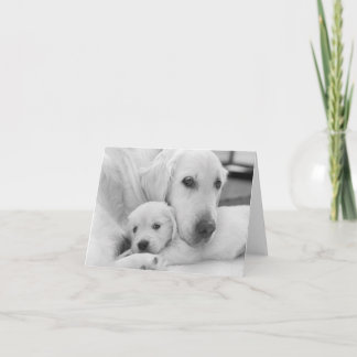 Blindkarte Dankeskarte