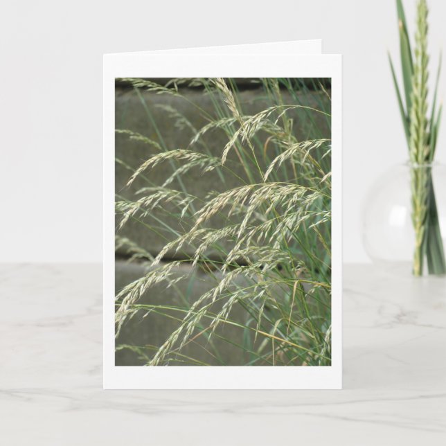 Blindkarte Karte (Vorderseite)