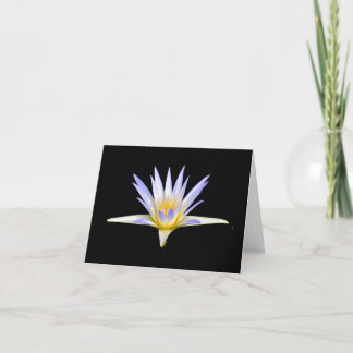 Blindlavender Water Lily Blank Notizkarte Karte