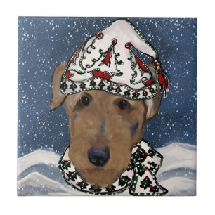 BLING AIREDALE FLIESE