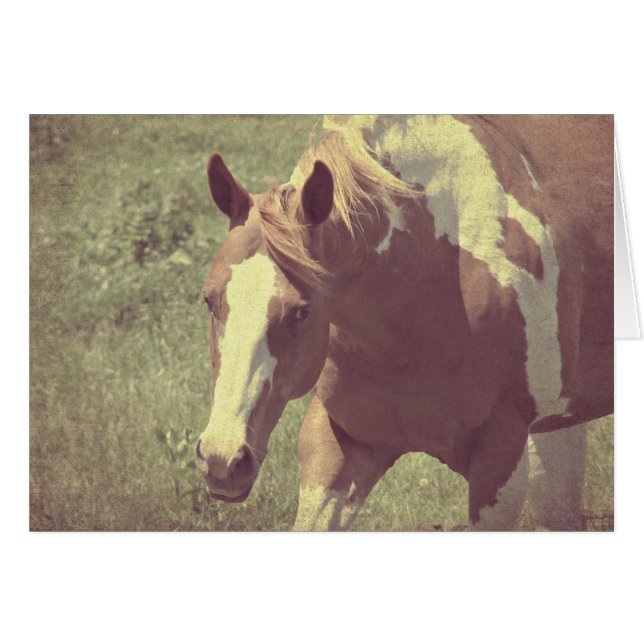 Blinkende Imitate Vintag (Vorderseite (Horizontal))