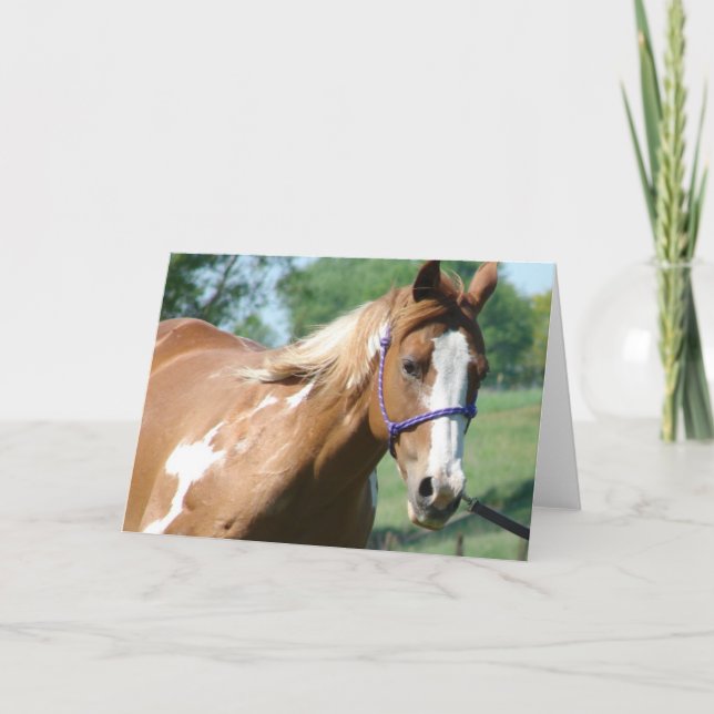 Blinkisch auf der Lungeline Karte (Vorderseite)