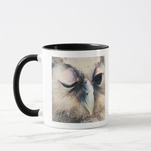 Blinzeln der Eule Tasse (Links)