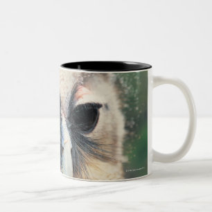 Blinzeln der Eule Zweifarbige Tasse