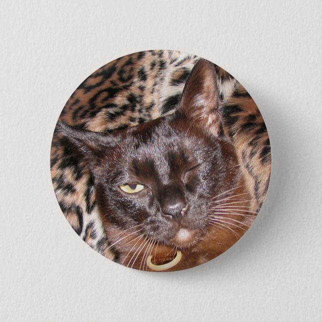 Blinzeln des birmanischen Knopfes Button (Vorderseite)