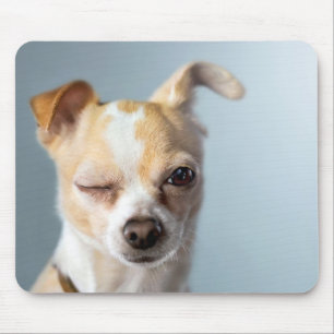 Blinzeln des Hundes Mousepad