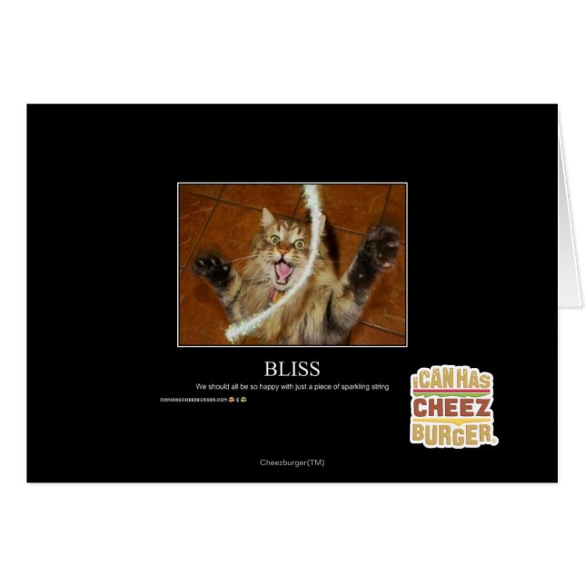 Bliss (Vorderseite (Horizontal))