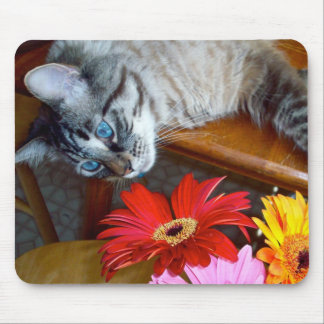 Bliss Mousepad Louie Katze die Blume