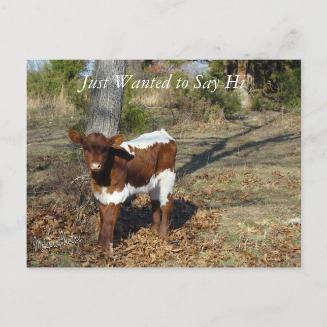 Bliss Postcard anpassen Postkarte (Vorderseite)