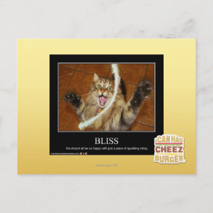Bliss Postkarte
