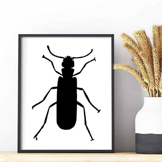 Blisterpackung Käfer Silhouette Fotodruck (Blister Beetle Silhouette Photo Print)