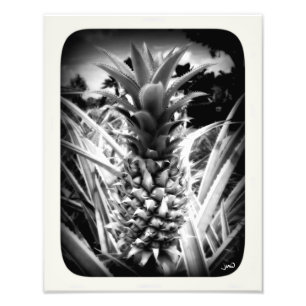 Blitz der Inspiration Fotodruck