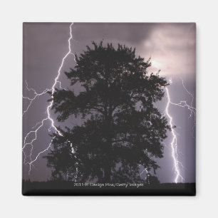 Blitze im Himmel hinter einem Baum Magnet