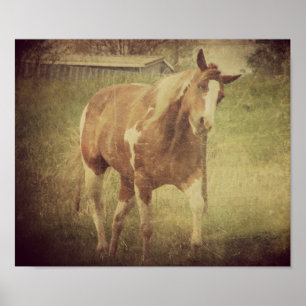 Blitze Shakes Head Poster