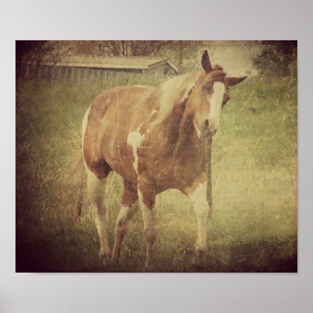 Blitze Shakes Head Poster (Vorne)