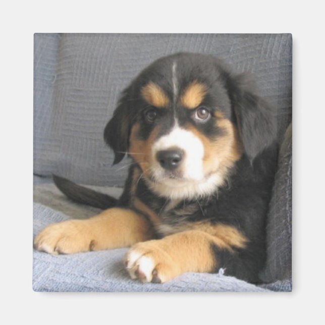 Blitzen Magnet (Vorne)