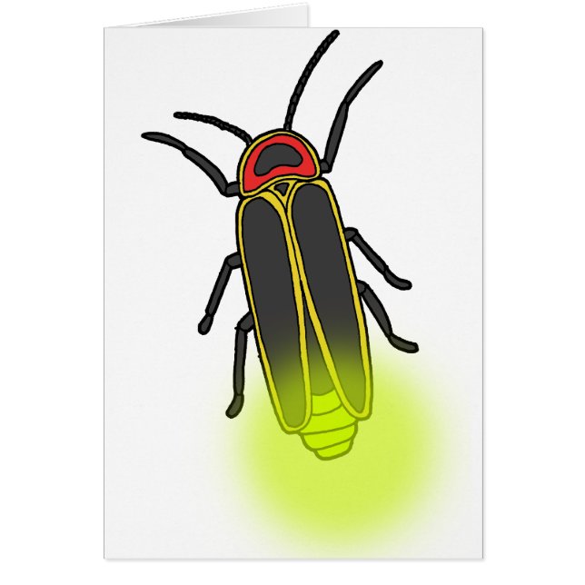 Blitzleuchte (Vorne)