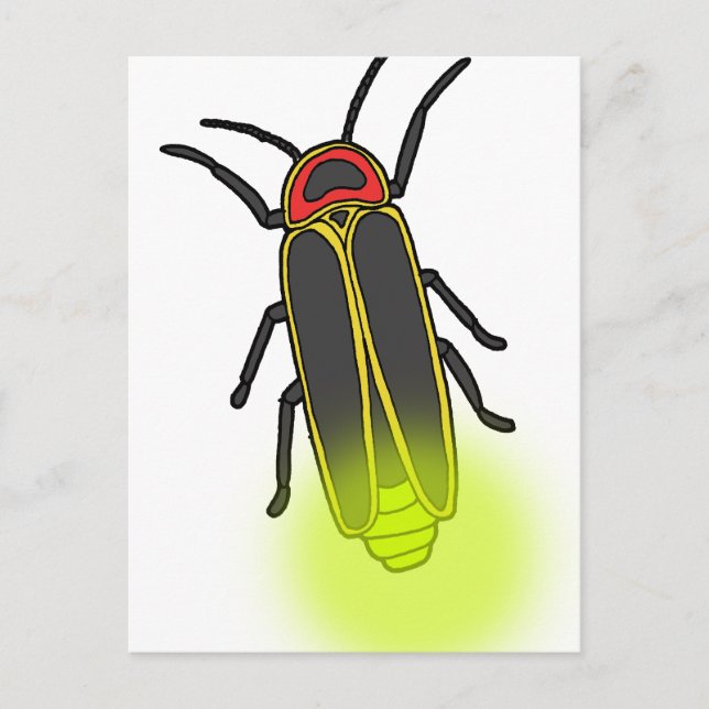 Blitzleuchte Postkarte (Vorderseite)