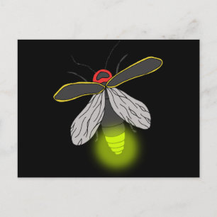 Blitzlicht Postkarte