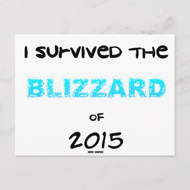 Blizzard 2015 überlebt postkarte (Vorderseite)