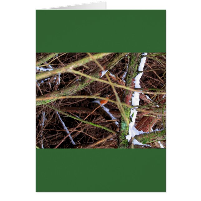 Blizzard Bird CB (Vorne)