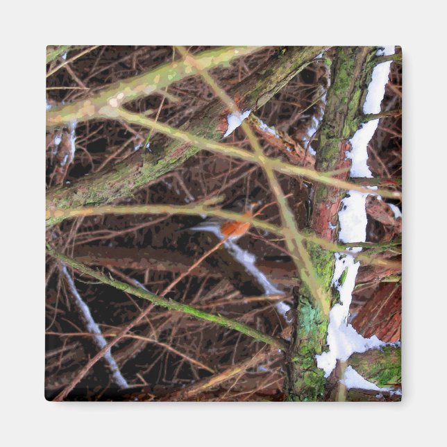 Blizzard Bird CB Magnet (Vorne)