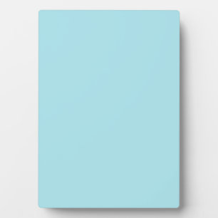 Blizzard Blau (einfarbige Farbe)  Fotoplatte