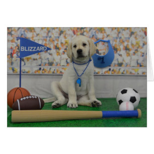 Blizzard-Sport-Karte