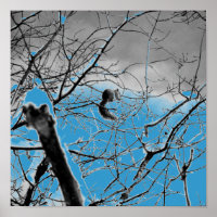 Blizzard Squirel B+W