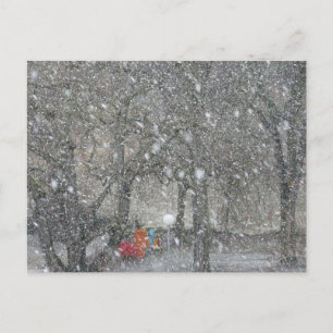 Blizzard-Wald Postkarte