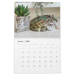 Blobbi Pacman Frosch Kalender
