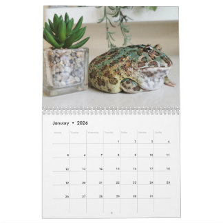 Blobbi Pacman Frosch Kalender