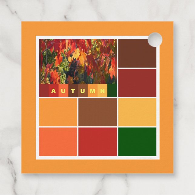 Blöcke der Herbstfarben Geschenkanhänger (Rückseite)