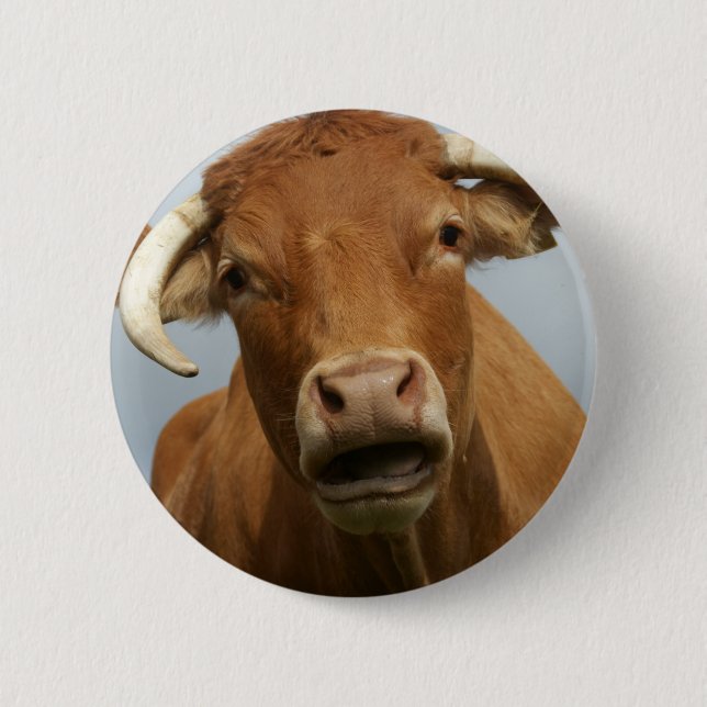 blöde kuh button (Vorderseite)
