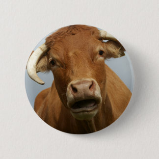 blöde kuh button