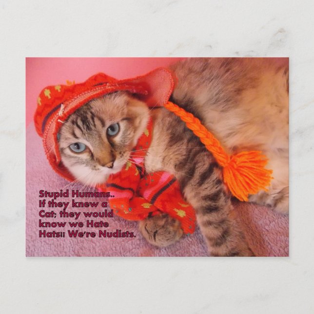 blöde Menschen Spaß Postkarte (Vorderseite)