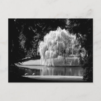 Bloedel Reserve Postkarte