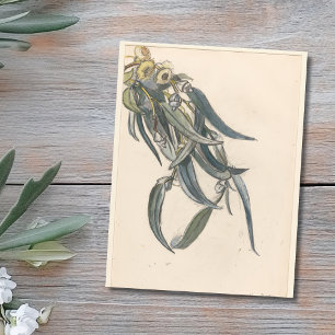 Bloeiende tak van een eucalyptus postkarte