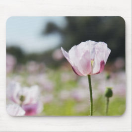 Bloemen veld met close up bloeiende lila bloem. mousepad