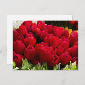 Bloemenmarkt-Blume Postkarte
