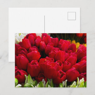Bloemenmarkt Blumen Postkarte